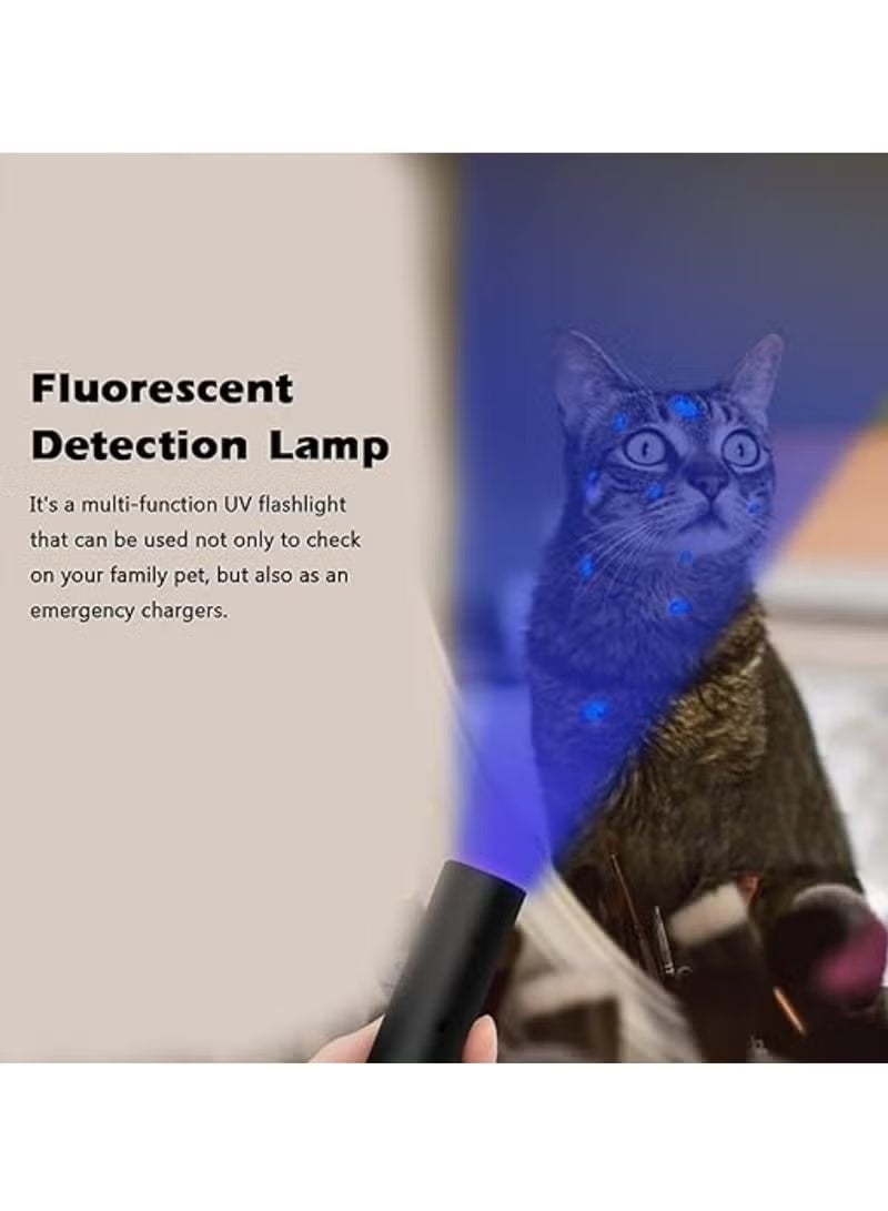UV 365nm Flashlight Fluorescent Detection Lamp Ringworm Lamp - Image 3